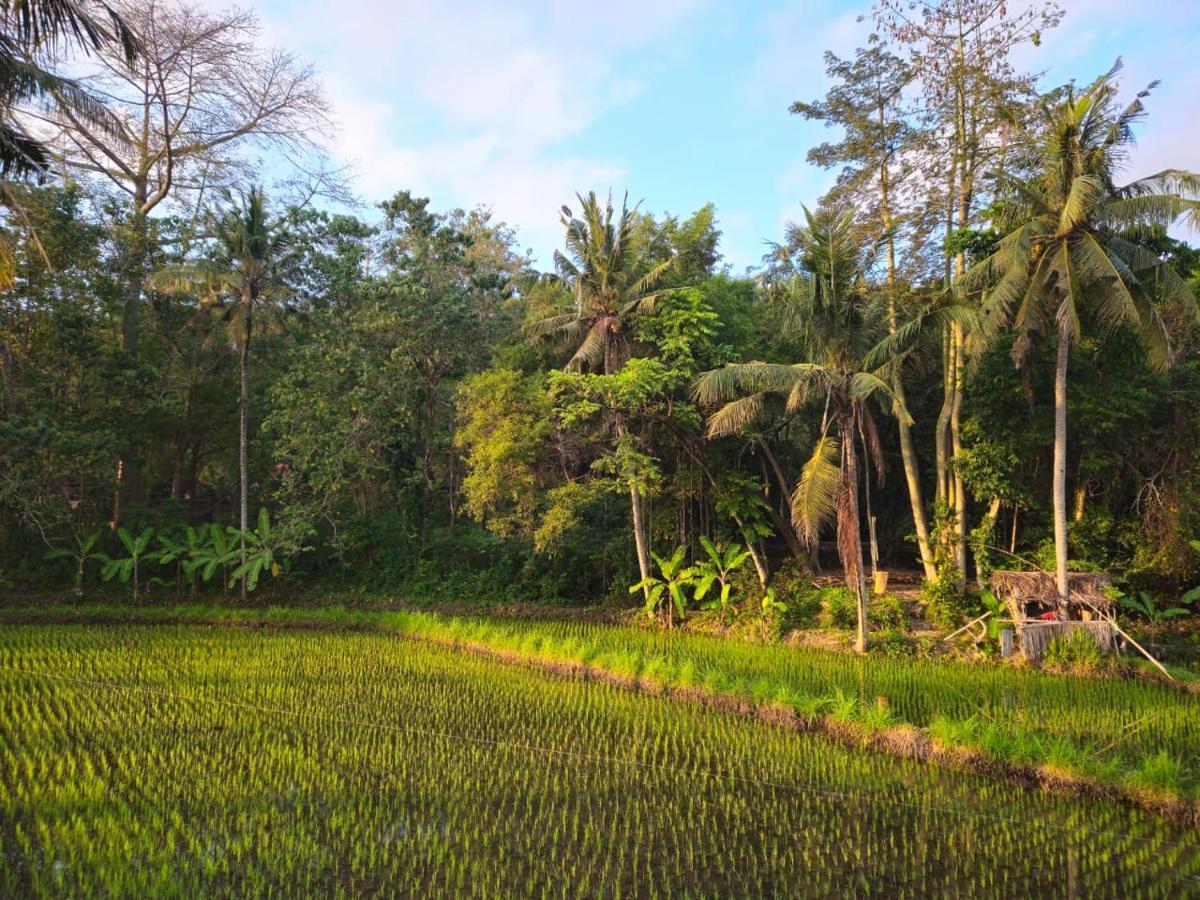 Pondok Diana Yuki Jasri 外观 照片